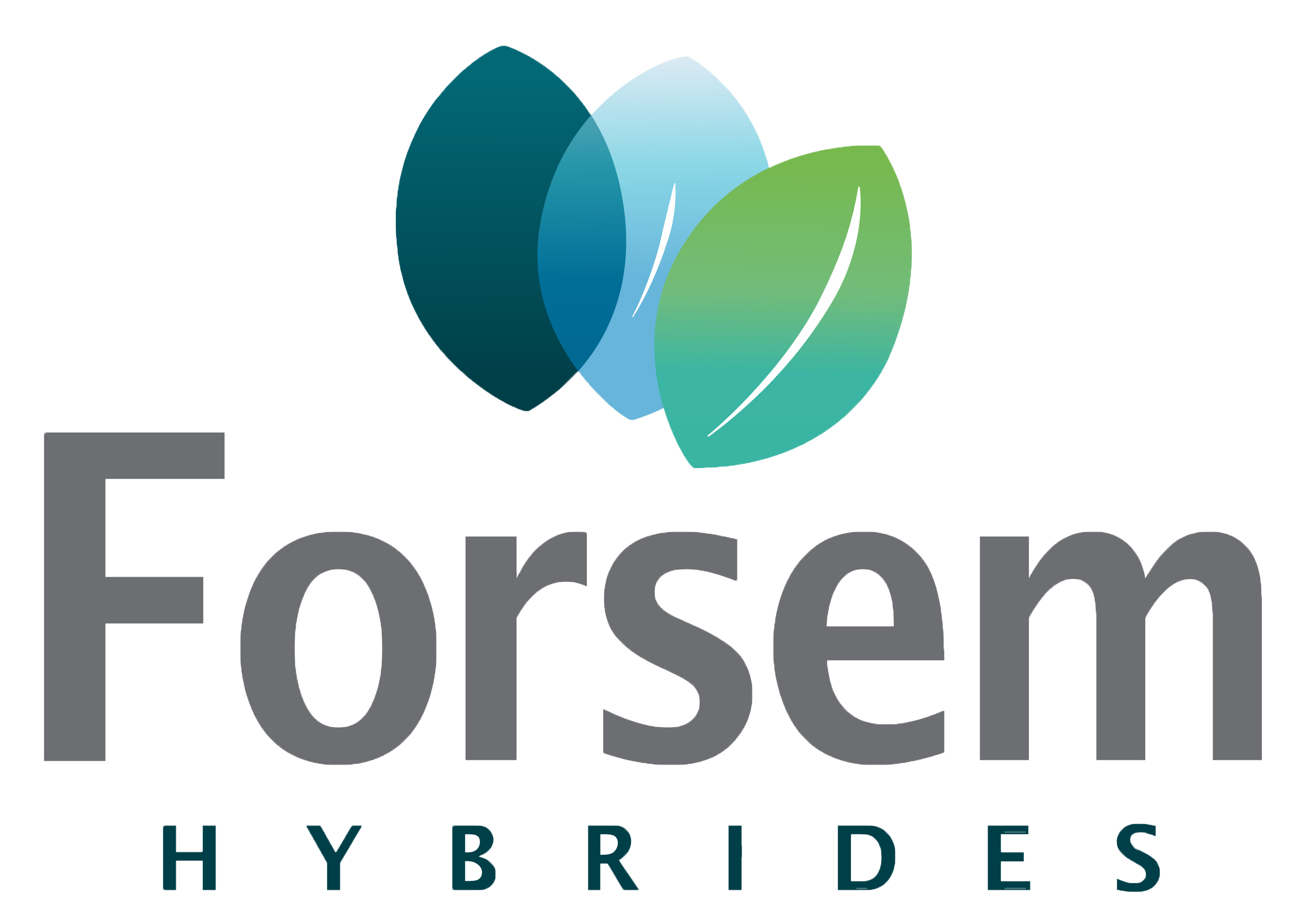forsem hybrides